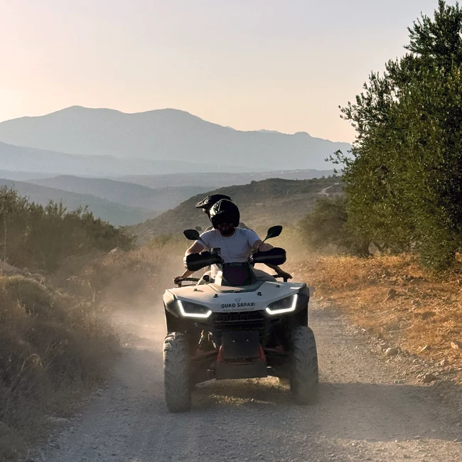 "Golden Crete" Quad Safari-gallery