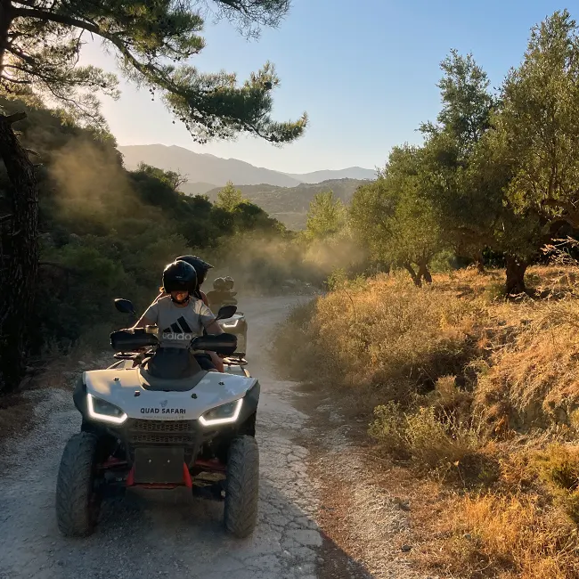 "Golden Crete" Quad Safari Gallery Image