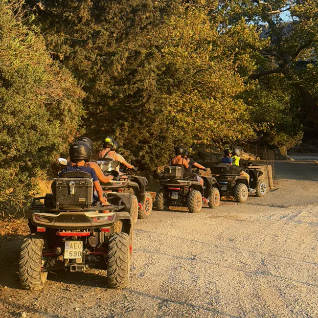 "Golden Crete" Quad Safari-gallery